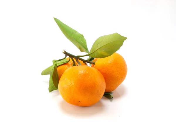 Arancione con foglia su sfondo bianco — Foto Stock