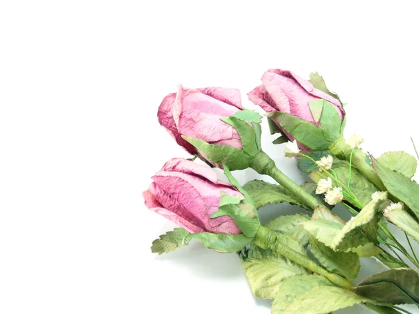 Pink roses paper — Stock Photo, Image