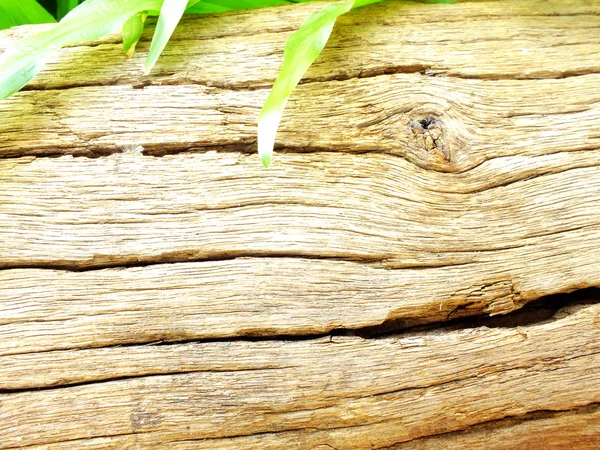 Текстура старого дерева фон — стоковое фото