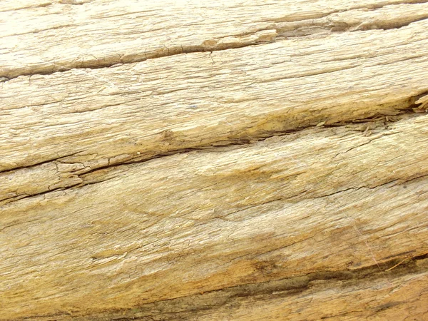 Textura madera vieja fondo —  Fotos de Stock