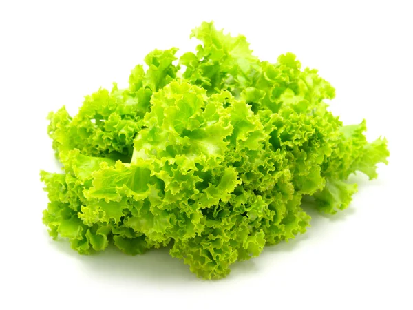 Fragmento de salada de alface sobre um fundo branco — Fotografia de Stock
