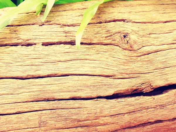 Textura madera vieja fondo con filtros de color —  Fotos de Stock