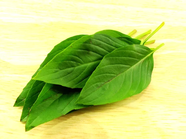 Green fresh basil leaves on wooden table — Stock Photo, Image