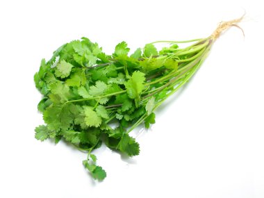 kişniş beyaz arkaplanda izole edildi