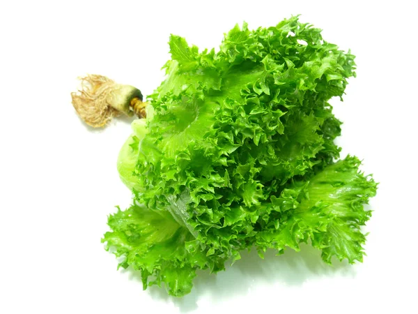 Fragmento de salada de alface sobre um fundo branco — Fotografia de Stock