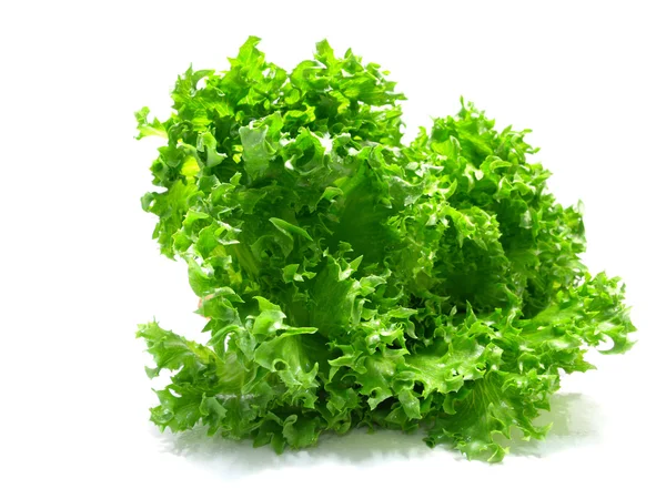 Fragmento de ensalada de lechuga sobre un fondo blanco — Foto de Stock