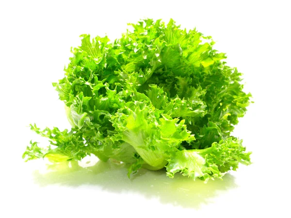 Fragmento de ensalada de lechuga sobre un fondo blanco — Foto de Stock