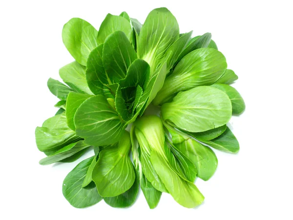 Choy Montón de verduras de cerca sobre fondo blanco —  Fotos de Stock