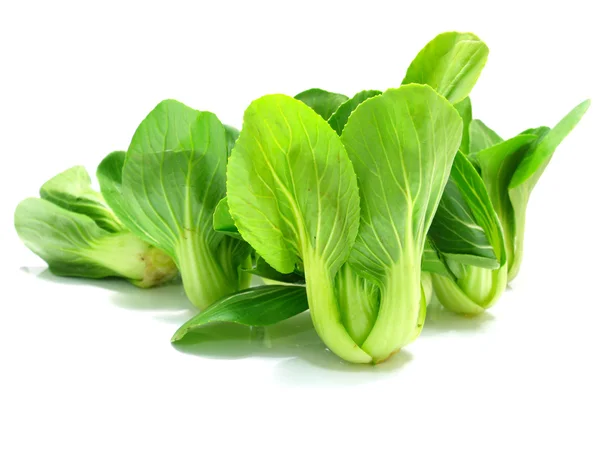 Choy Vegetable pilha close-up no fundo branco — Fotografia de Stock