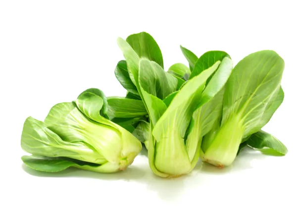 Choy Vegetable pilha close-up no fundo branco — Fotografia de Stock