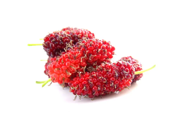 Mulberries 흰색 배경에 고립 — 스톡 사진