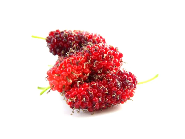 Mulberries 흰색 배경에 고립 — 스톡 사진