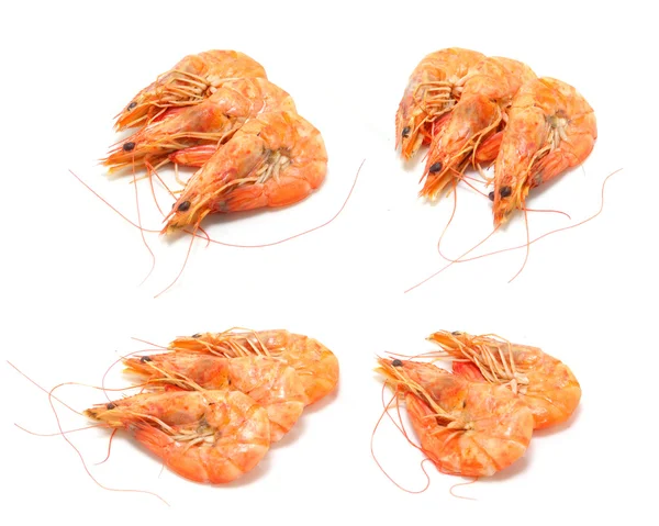Shrimp isoliert auf weißem Hintergrund — Stockfoto