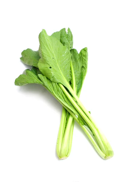 Choy somma pelo vegetale da vicino su sfondo bianco — Foto Stock