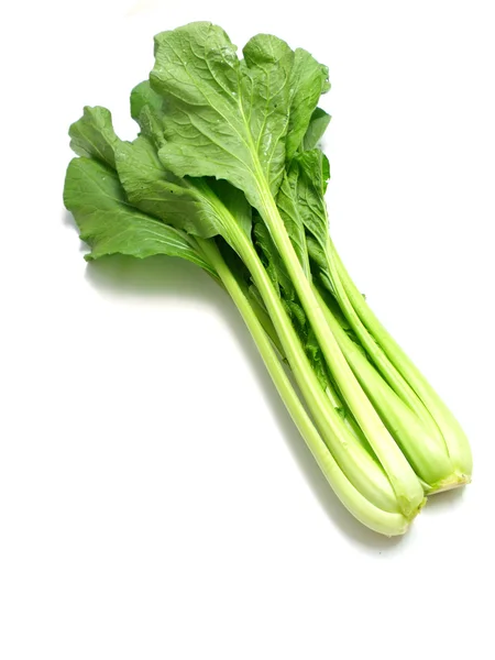 Choy sum vegetable pile close up on white background — Stock Photo, Image