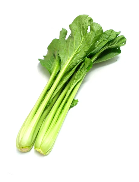 Choy sum Gemüsehaufen in Großaufnahme auf weißem Hintergrund — Stockfoto