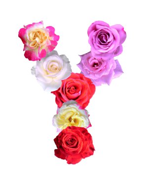 Gül alfabe üzerinde beyaz adam izole