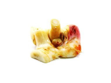 Ot havlıcan beyaz arka plan üzerinde