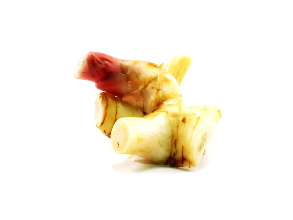 Galangal de hierbas sobre fondo blanco — Foto de Stock