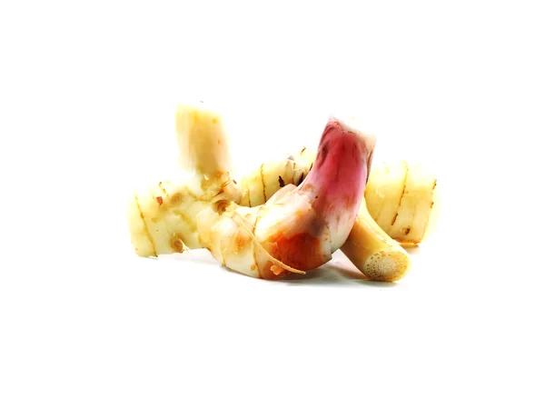 Galangal de hierbas sobre fondo blanco — Foto de Stock