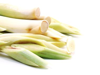 Beyaz arka planda taze limon çimeni