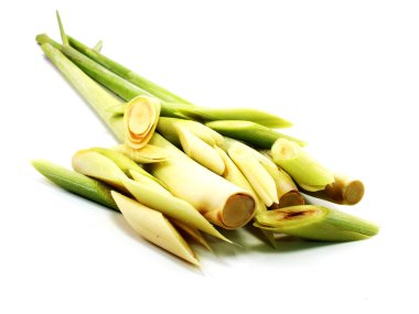 Beyaz arka planda taze limon çimeni