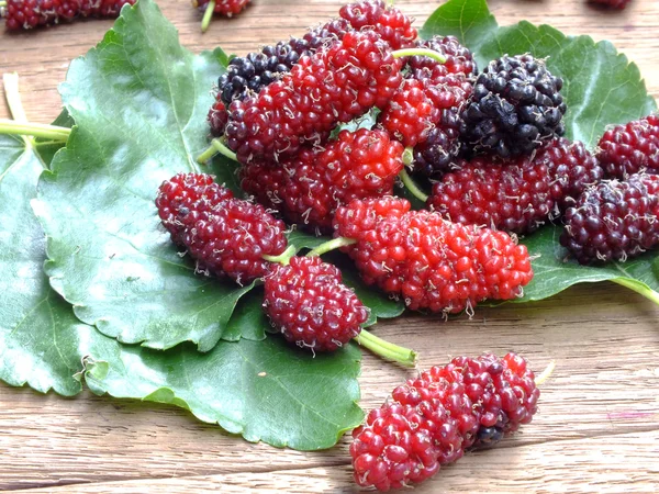 Verse organische mulberry focus op fruit van de moerbei — Stockfoto