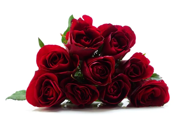 Hermosas rosas rojas sobre fondo blanco — Foto de Stock