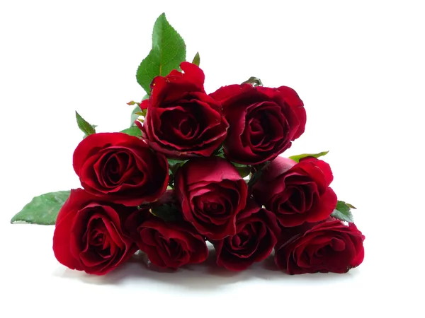 Hermosas rosas rojas sobre fondo blanco — Foto de Stock
