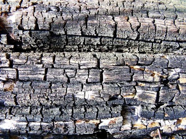 Staré dřevěné pozadí textury — Stock fotografie