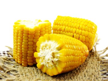 taze beyaz zemin üzerine izole Mısır