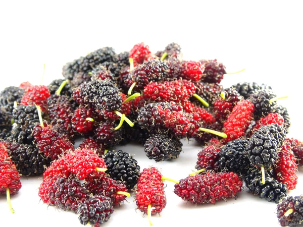 Verse organische mulberry focus op fruit van de moerbei — Stockfoto