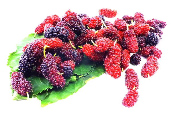 Verse organische mulberry op witte achtergrond — Stockfoto