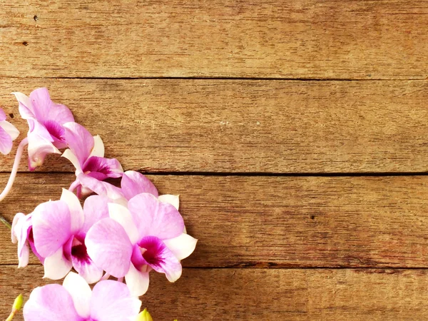 Rózsaszín lila orchidea virágok fából készült háttér — Stock Fotó