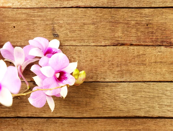 Rosa púrpura orquídeas flores sobre fondo de madera — Foto de Stock