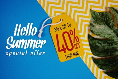 Merhaba Yaz Satışı% 40 Fiyat etiketi ve mavi arka planda yaz süslemeleri