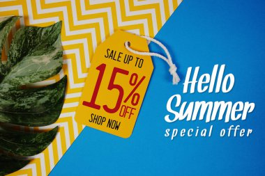 Merhaba Yaz İndirimi% 15 Fiyat etiketi ve mavi arka planda yaz süslemeleri