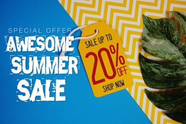 Merhaba Yaz Satışı% 20 Fiyat etiketi ve mavi arka planda yaz süslemeleri