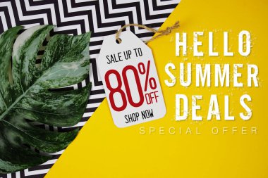 Merhaba Yaz Satışı% 80 fiyat etiketi ve sarı arka planda yaz süslemeleri