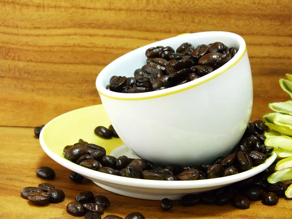 Studio shot of coffee beans on wooden background still life — Stock Photo, Image