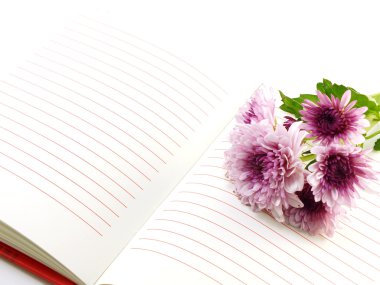 Açık not defteri ve güzel Kasımpatı pembe çiçekler buket