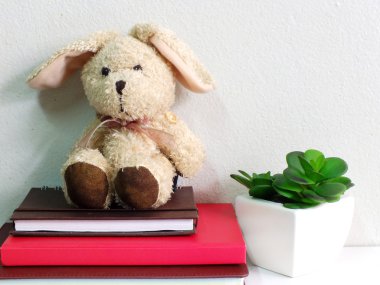 Bunny tavşan defter ile yeşil bitki natürmort yapay oturan bebek