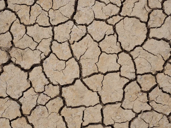 Terreno agrietado, Fondo del terremoto, Textura —  Fotos de Stock