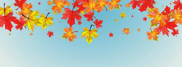 Herbstlichen Blatt Hintergrund Blauen Vektor Laub Helle Illustration Grüne Sammelanlage — Stockvektor