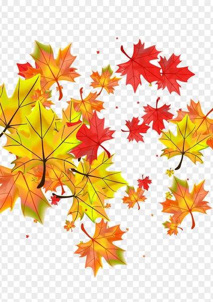 Kahverengi Çiçek Şeffaf Vektörü. Down Illustration 'dan ayrılıyor. Renkli izole edilmiş bitki. Şekil Yaprak Kartı.