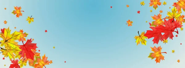 Sonbahar Yaprakları Mavi Vektör. Çiçek Şekil Tasarımı. Turuncu Yaprak Koleksiyonu. Sezon Bitkisi İllüstrasyonu.