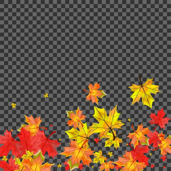 黄金の植物の背景透明ベクトル イラストは下葉 赤い葉 カナダの葉カード — ストックベクタ