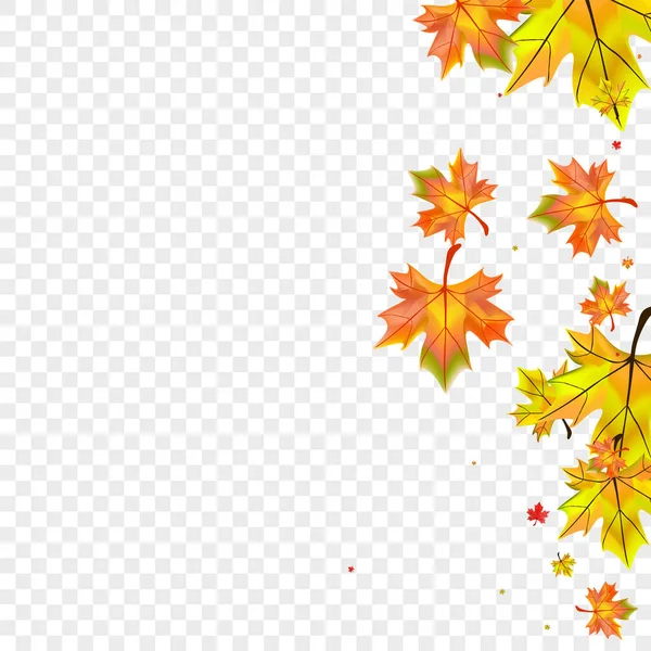 Autumnal Plant Background Transparent Vector Floral Decor Texture Green Design — Stock Vector