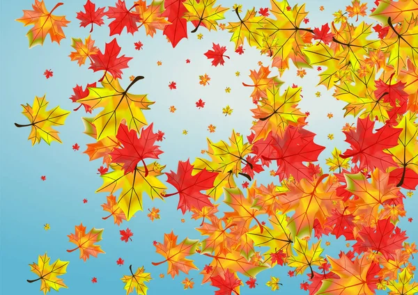 Ocher Leaf Geçmişi Mavi Vektör. Yeşillik Şablonu. Renkli Dekorasyon Yaprakları. Eylül Bitki Tasarımı.