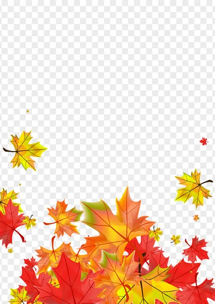 秋の植物の背景透明ベクトル 葉紙のテクスチャ ブラウン ネイチャー フローラル 下葉のフレーム — ストックベクタ